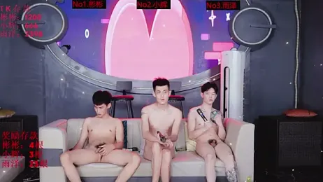 SX-001 webcam model stream image
