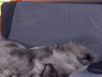 tsgisele webcam model stream image