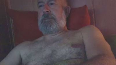 Jarpo webcam model stream image
