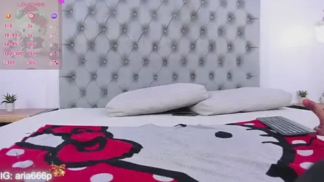 aria_paul webcam stripchat model stream image