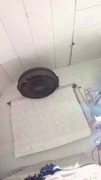 Asasass webcam model stream image