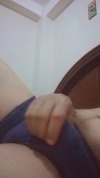 hram4 webcam preview