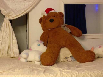 2006-tgn webcam model stream image