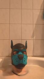 Pup_Hunter_1987 webcam model stream image