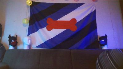 Pup_Hunter_1987 webcam model stream image