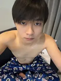Vi_1314 webcam model stream image
