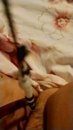 ginevrasexsexy webcam model stream image