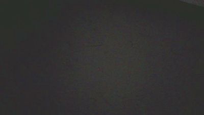FSB1962 webcam model stream image