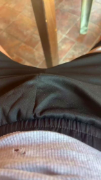 Sbirulinol webcam model stream image