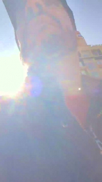 elkike1981 webcam model stream image