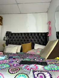 saragill323 webcam stripchat model stream image