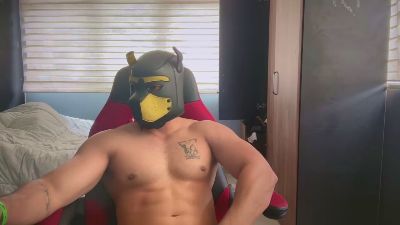 A_david webcam cam4 model stream image