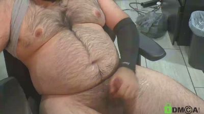 IndianaBear webcam preview