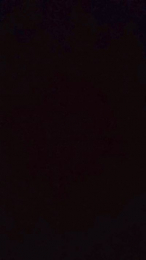 danielinrr webcam model stream image