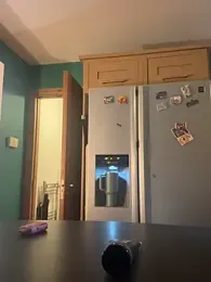 PiperPassionX webcam model stream image