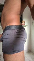 Avastmill webcam model stream image