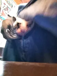 blackninja66 webcam model stream image