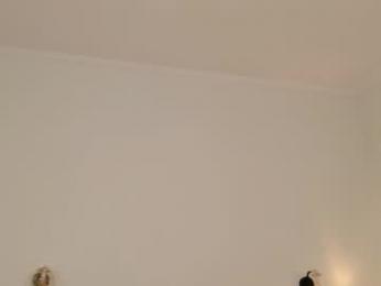 pinktwinss webcam model stream image