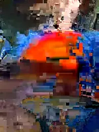 nymphomanxslutty webcam model stream image