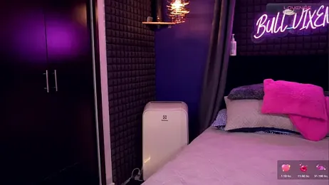 bull_vixen2001 webcam model stream image