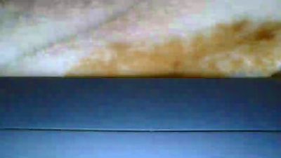 aries1882 webcam preview