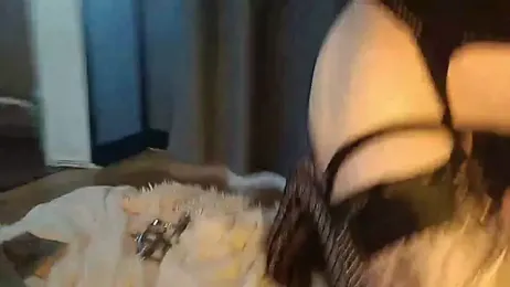 Cristal_Bunny webcam model stream image