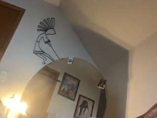cce9388 webcam model stream image