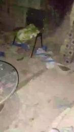 piccolaqueen webcam model stream image