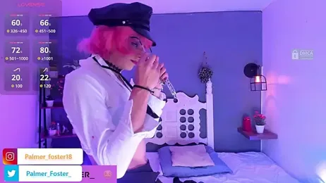 Palmer-Foster webcam model stream image