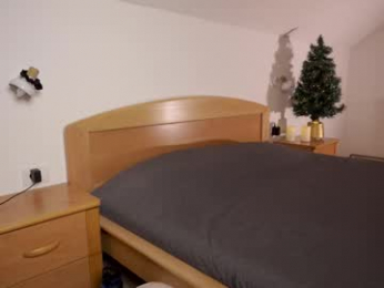 foxeslovefoxes webcam model stream image