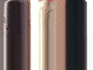 essartier webcam model stream image