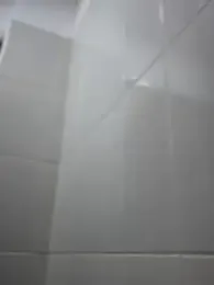 _Bella-Office1 webcam model stream image