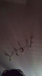 LaKikka90 webcam model stream image