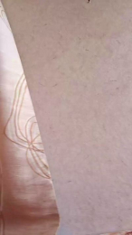 BibiVero webcam model stream image