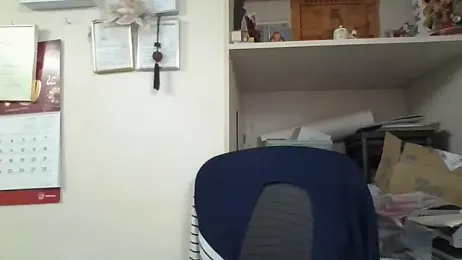 changbibit webcam model stream image