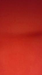 Stasera5 webcam model stream image