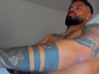 latinwolfbi webcam chaturbate model stream image