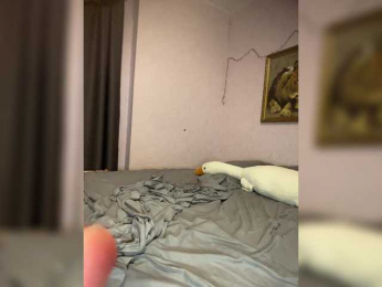 Xyligana webcam model stream image
