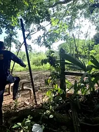 Flaco28king webcam stripchat model stream image