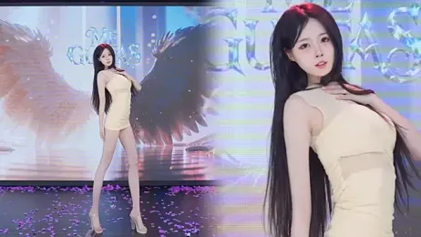 TC-001 webcam model stream image
