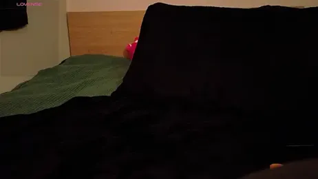 powq05 webcam model stream image