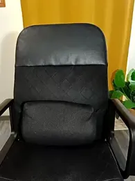 lisshorn webcam model stream image