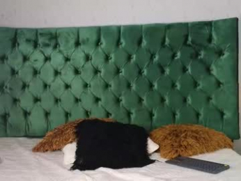 lumars_ webcam model stream image