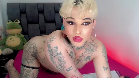 little_star_porn webcam model stream image