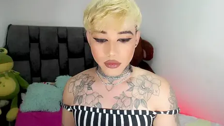 little_star_porn webcam model stream image