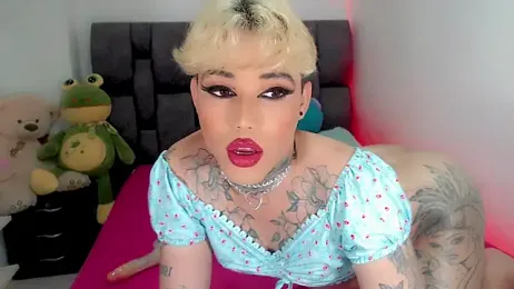 little_star_porn webcam model stream image