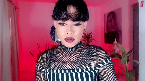 little_star_porn webcam model stream image