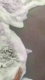 Thelmina webcam model stream image
