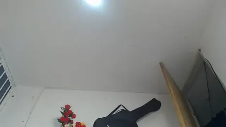 brown_halos webcam stripchat model stream image