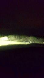 Gerontofilia webcam model stream image